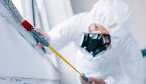 Reliable Spring Lake, MI Pest control Solutions